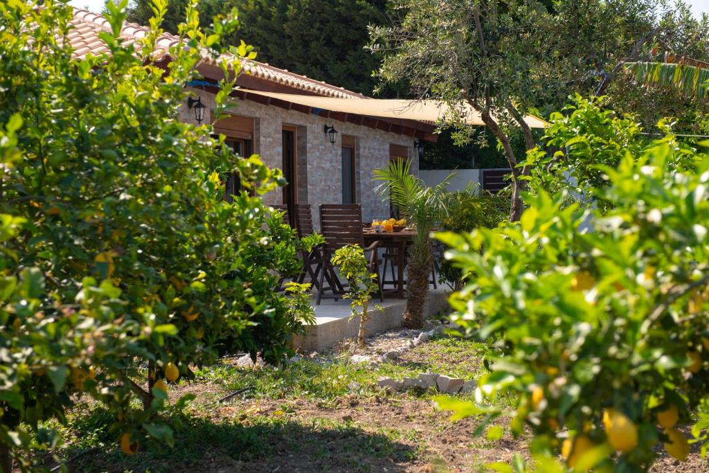 Green Oasis House in Filerimos room 2